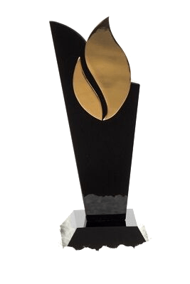 Pollie Gold Award