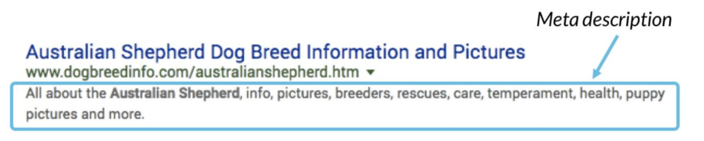 SEO Meta description example of Australian shepherd dog breed information 