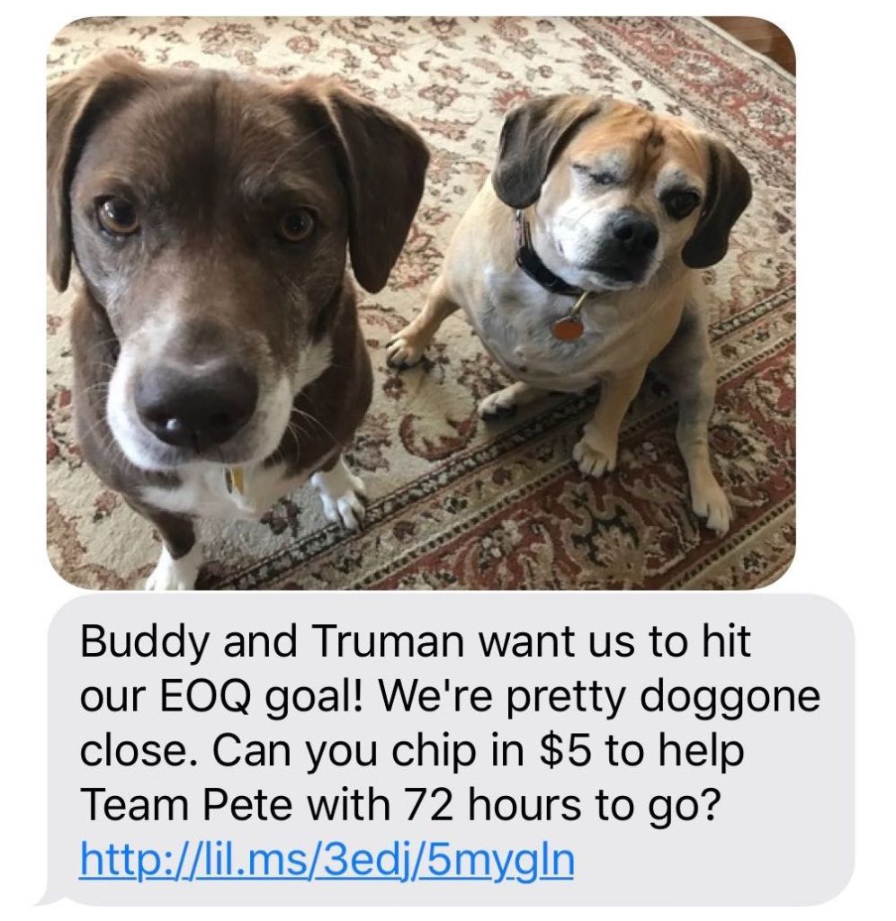 Pete Buttigieg Presidential Campaign SMS Marketing Dogs Example